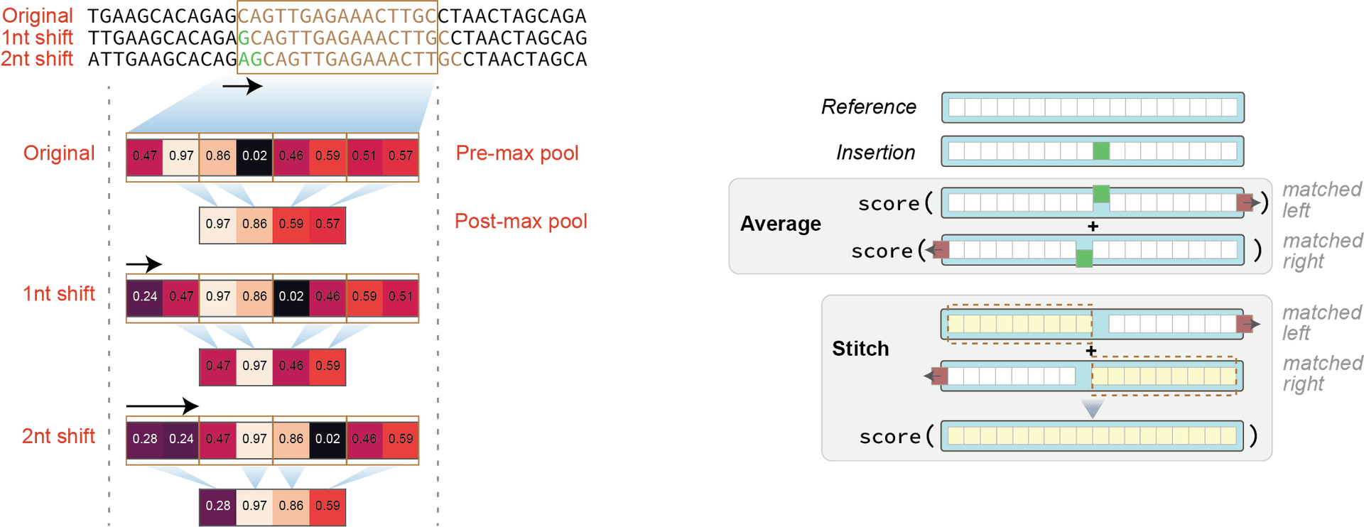 Left: sequence shift effect on pooling boundaries for DNA sequence. Right: augmentation strategies.